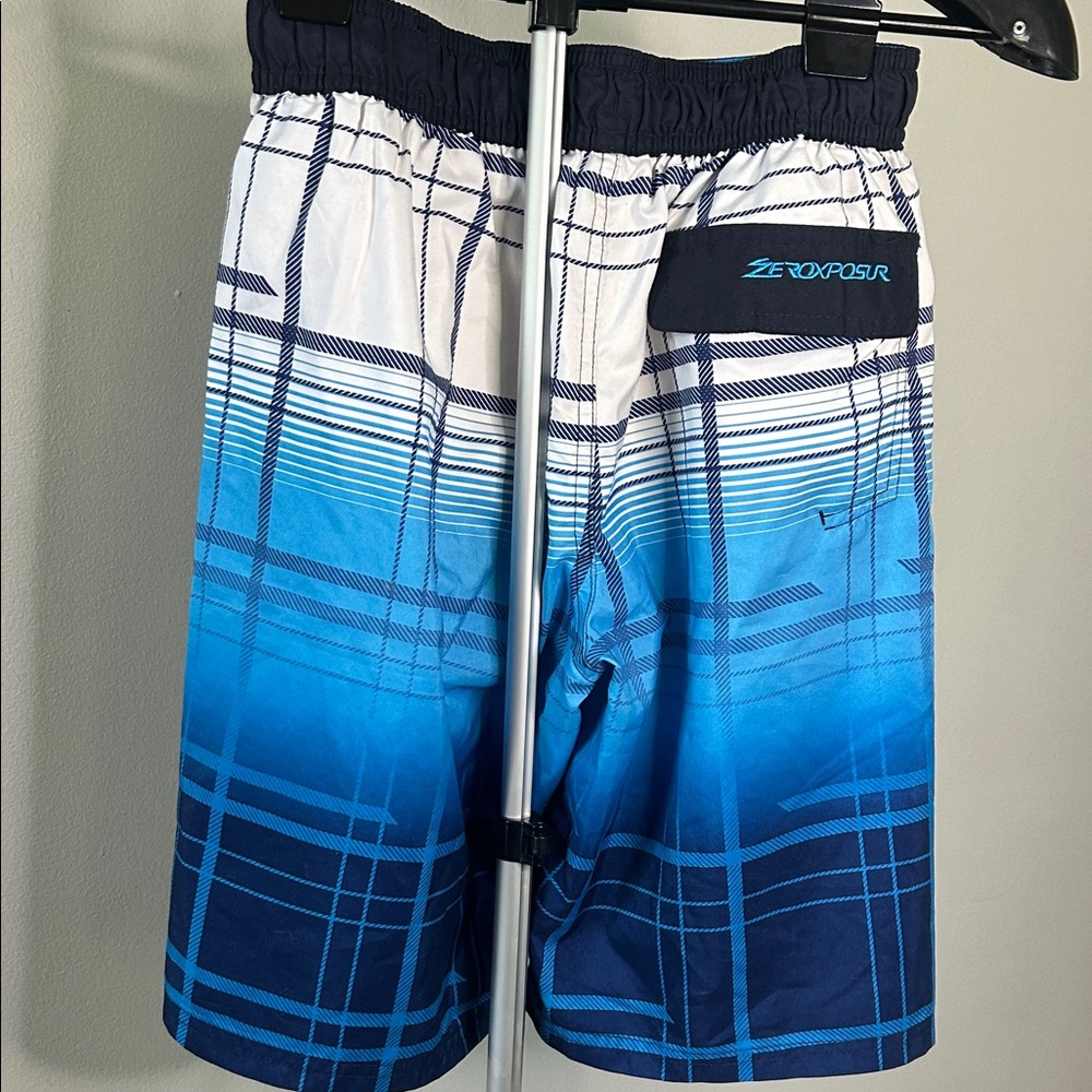 ZeroXposur White and Blue Plaid Shorts - Picture 5 of 7